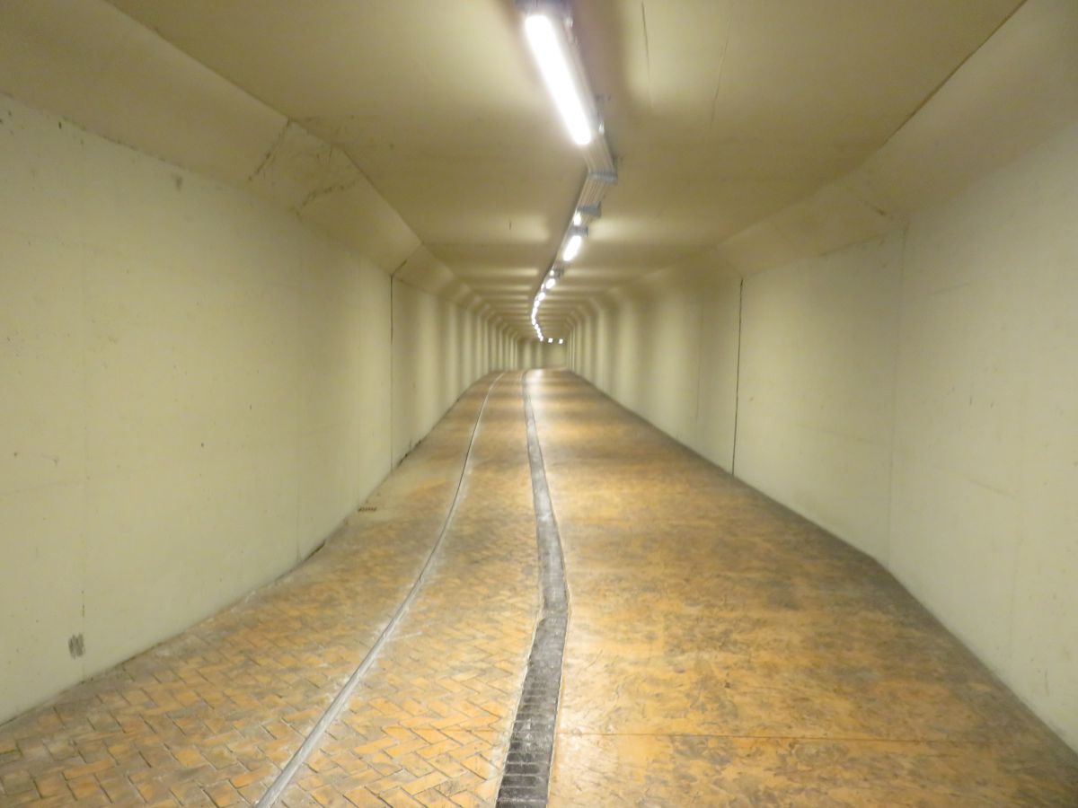 imagini hotel KIRMAN CALYPTUS